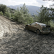 Illustration for article titled WRC Rally Coverage In HD